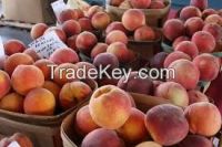 Fresh Peaches from South Africa