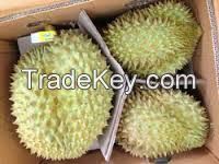 South African Fresh Durians