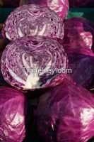Farm Red Fresh Cabbage
