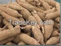 Best Quality Fresh Cassava Root Planter for export