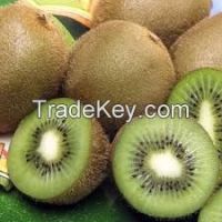 Grade A quality fresh kiwi fruit for sell