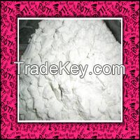 white Diatomite for waste water treatment