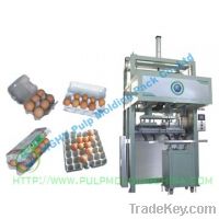 egg tray machinery