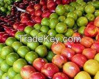 Fuji ApplesGrade A Royal Gala Apples, Golden Delicious Apples, Red Delicious