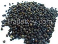 Black Pepper for sale