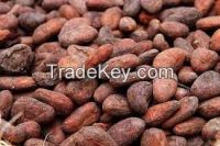 Good quality Cocoa Beans for Sale at cheap price