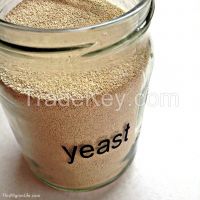 Dry Yeast For Sale