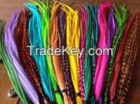 wholesale fashion colorful dyed pheasant feathers