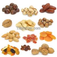 DRIED FRUIT, DRIED MANGO, PAPAYA, PINEAPPLE , DRIED APPLE RINGS ETC FOR SALE