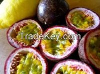 High Quality Fresh Passion Fruit/Tropical Fruit