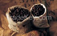 Arabica green coffee beans /chocolate coated coffee beans/Robusta coffee beans