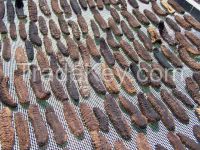 DRY SEA CUCUMBER FOR SALE