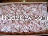 Fresh and Frozen Chiken paws, chiken feet for sale/Export