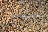 raw coffee beans, robusta coffee beans, directly from farm low price