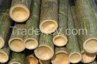 Bamboo Poles  for sale