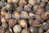 macadamia nuts for sale