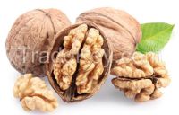 Walnut & Walnut Kernel for sale