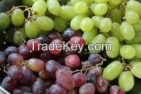 Fresh Grapes for sale