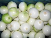fresh peeled white onion
