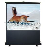 Floor pull up Projection screen