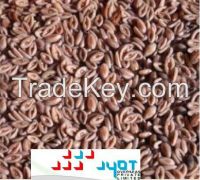 psyllium seed