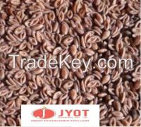 WHOLE PSYLLIUM SEED