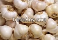 fresh garlic, pure white garlic, normal white garlic, onion, 