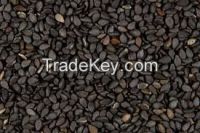 pongamia seeds, grape seeds, Sesame Seeds, Rape Seeds, mustard seeds, soyabeans