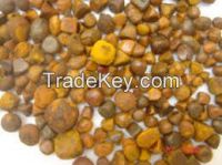 Ox Gallstone, cow Gallstone