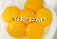 Whole egg powder, Ostrich eggs, egg yolk, egg white