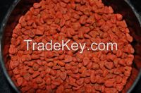 Quality Annatto Seeds