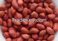 Peanut (Nuts & Kernels)