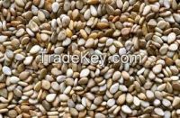 Sesame Seed, Sunflower Seed, Moringa Seeds.Poppy Seeds