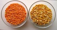 Red  Lentils