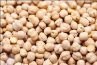 chickpeas