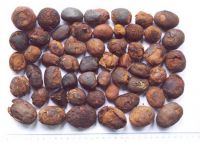 Ox Gallstones Cattle Gallstones Cow Gallstones