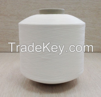 Polyester FDY Yarn