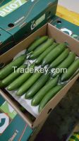 Fresh Cucumber