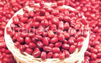 Red Kidney Beans