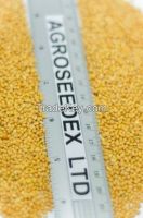 Yellow, White and red millet Ukrainian origin