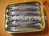 Quality Canned Sardine