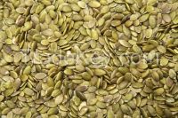 Pumpkin seeds Kernel