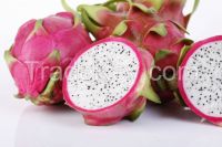 Fresh Dragon Fruit