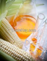 High Fructose Corn Syrup