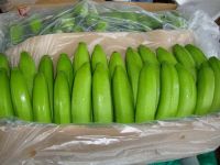 ECUADOR CLASS A GREEN CAVENDISH BANANAS