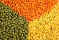 Red Lentils, Green Lentils, Yellow Pea, Brown Lentils, Chickpea, Mung Beans