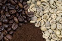 Grade A Robusta & Arabica Coffee Beans