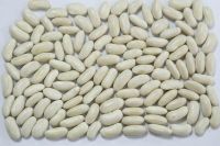 White Kidney Beans / Butter Beans / White Beans