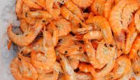 Horse Mackerel, Maw Fish, Sole Fish, Shrimps , Prawns , Sea Crabs , Dried Sea Cucumber , White Mushroom , Cat Fish , Sardine Fish, 