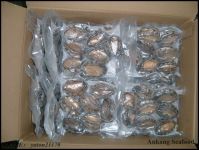 Frozen Gold Abalone